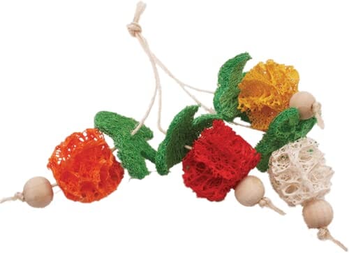 Nibbles Loofah Bunch of Fruits Chew Small Animal Chewy Treats - Small