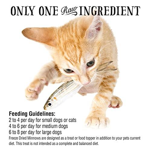 Northwest Naturals Freeze Dried Minnow Freeze-Dried Cat and Dog Treats - 1 oz Bag