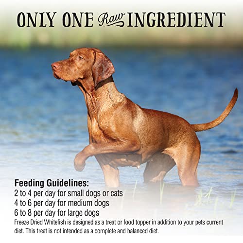 Northwest Naturals Freeze Dried Whitefish Freeze-Dried Cat and Dog Treats - 10 oz Bag