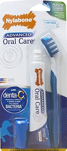 Nylabone Advanced Oral Care Natural Dental Kit Dog Dental Care - Peanut Butter - 2.5 Oz
