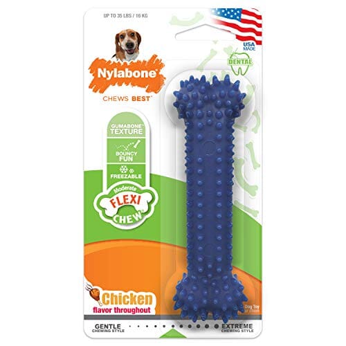 Nylabone Moderate Chew Dental Dog Bone - Wolf