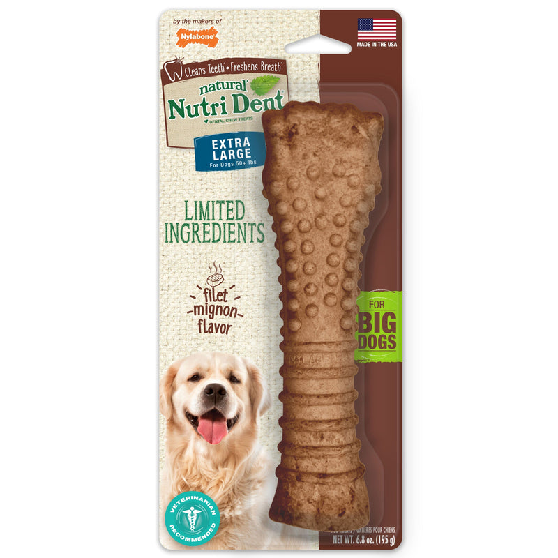 Nylabone Nutri Dent Filet Mignon Flavored Dog Dental Chews