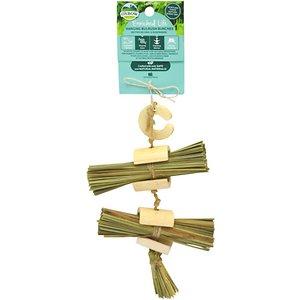 Oxbow Enriched Life Elife - Hanging Bulrush Bunches - pack of 3