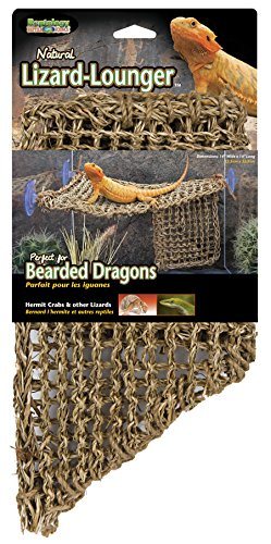 Penn Plax Natural Lizard Lounger - Corner - Large