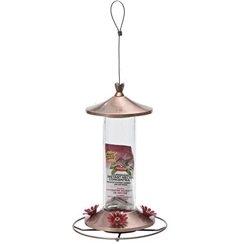 Perky-Pet Elegant Glass Hummingbird Feeder - Copper - 12 Oz Cap