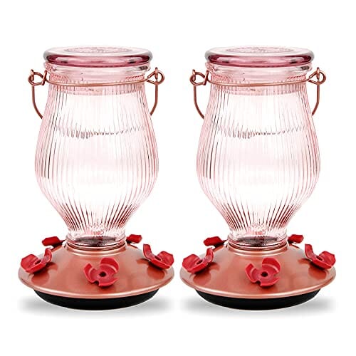 Perky-Pet Top-Fill Glass Hummingbird Feeder - Gold - 24 Oz Cap - 2 Pack