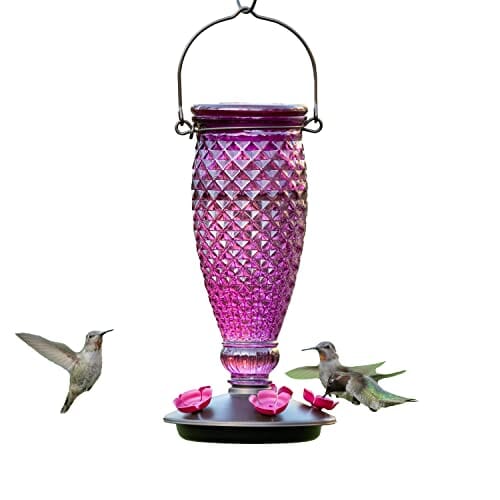 Perky-Pet Top-Fill Glass Hummingbird Feeder - Wine - 24 Oz Cap - 2 Pack