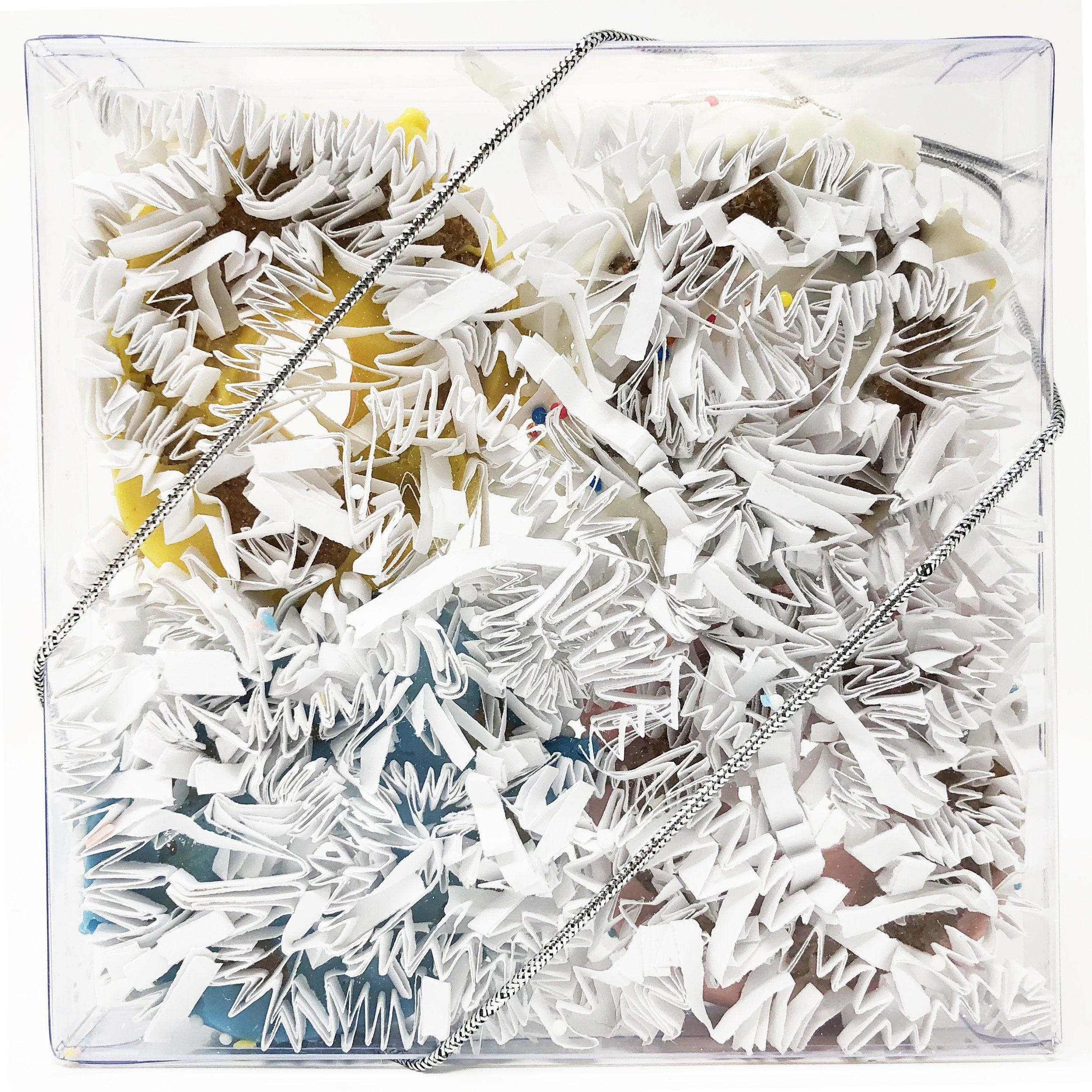 Pet Life 4 Piece Mini Donut Whole Wheat Oat and Yogurt Dog Biscuit Set