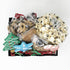 Pet Life 7 Piece Large Christmas Dog Biscuits and Treats Holiday Gift Set