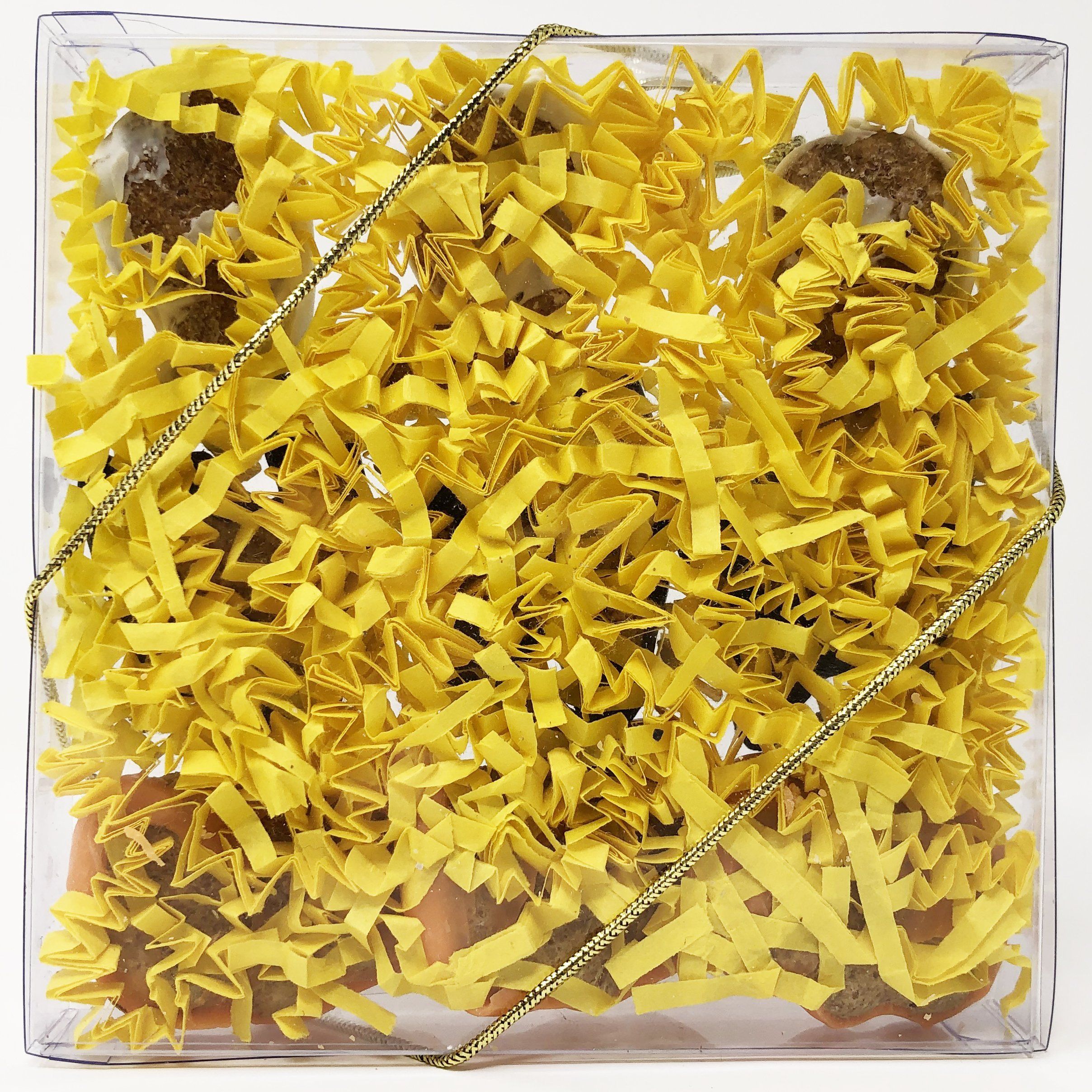 Pet Life 9 Piece Mini Halloween Whole Wheat Oat and Yogurt Dog Biscuit Set