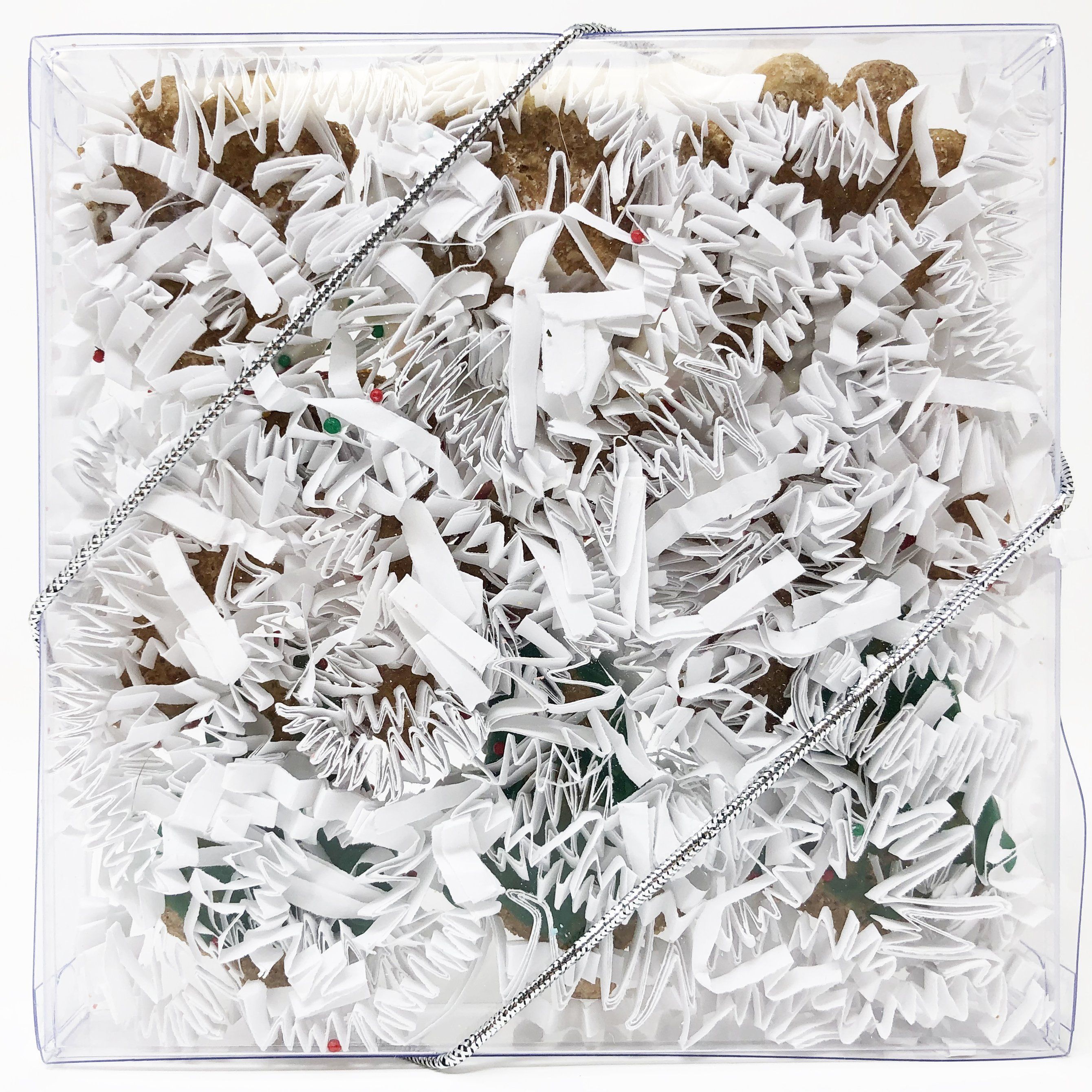 Pet Life 9 Piece Mini Holiday Whole Wheat Oat and Yogurt Dog Biscuit Set