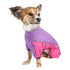Pet Life ® Active 'Chase Pacer' Medium-weight 4-Way-Stretch Yoga Fitness Dog Tracksuit