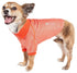 Pet Life ® Active 'Fur-Flex' Stretch and Quick-Dry Anti-Odor Fitness Yoga Dog Polo T-Shirt X-Small Orange