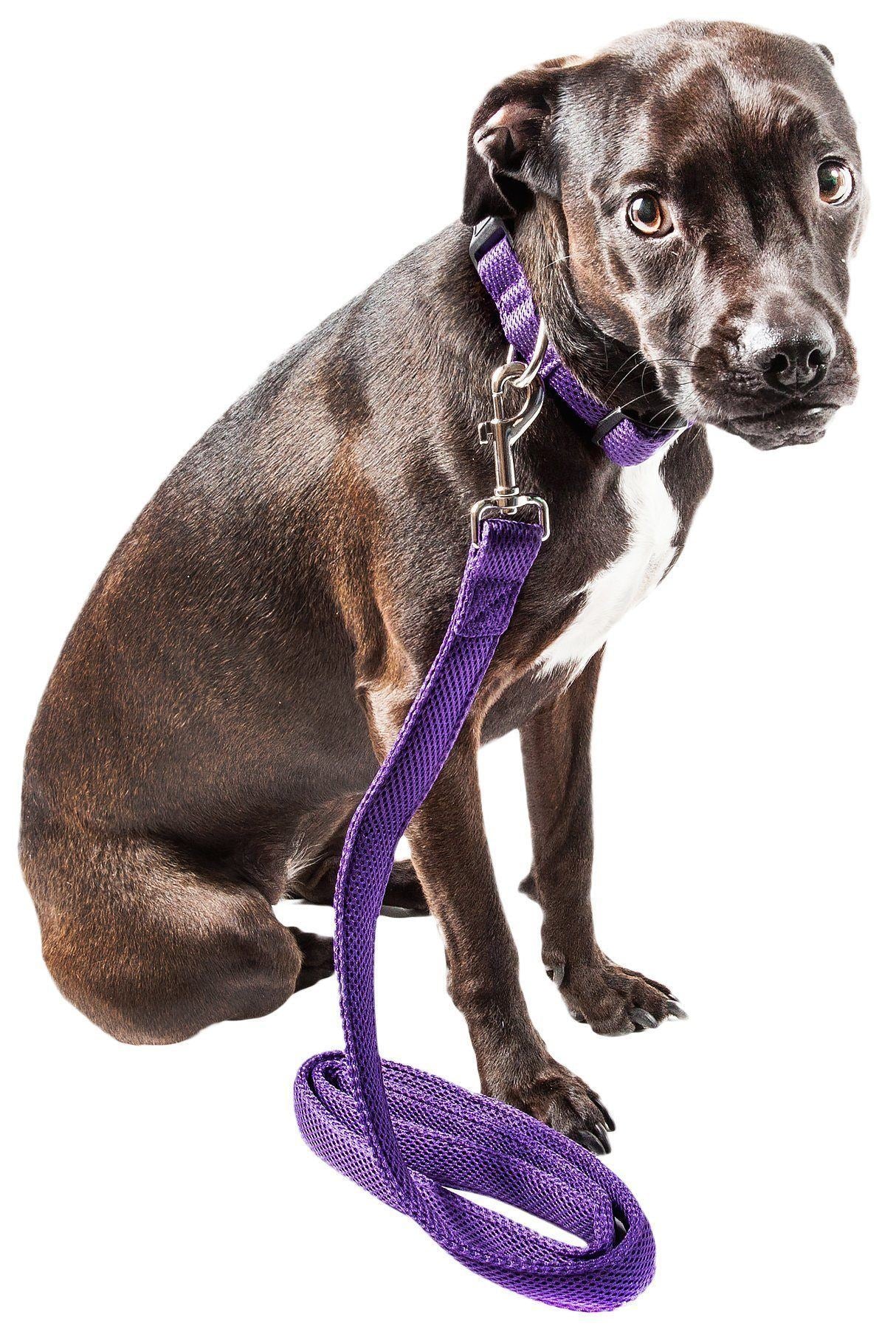 Pet Life ® 'Aero Mesh' 2-In-1 Breathable and Adjustable Dual-Sided Mesh Dog Leash and Collar Small Purple