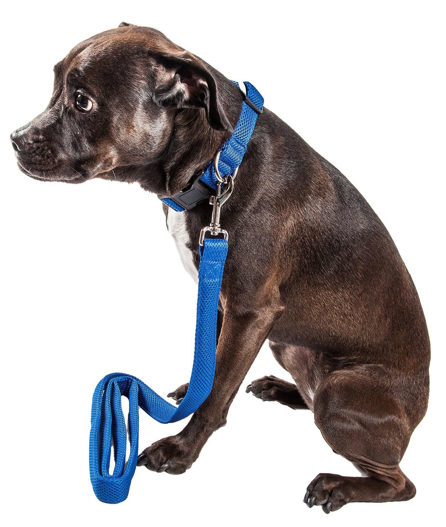 Pet Life ® 'Aero Mesh' 2-In-1 Breathable and Adjustable Dual-Sided Mesh Dog Leash and Collar Small Blue