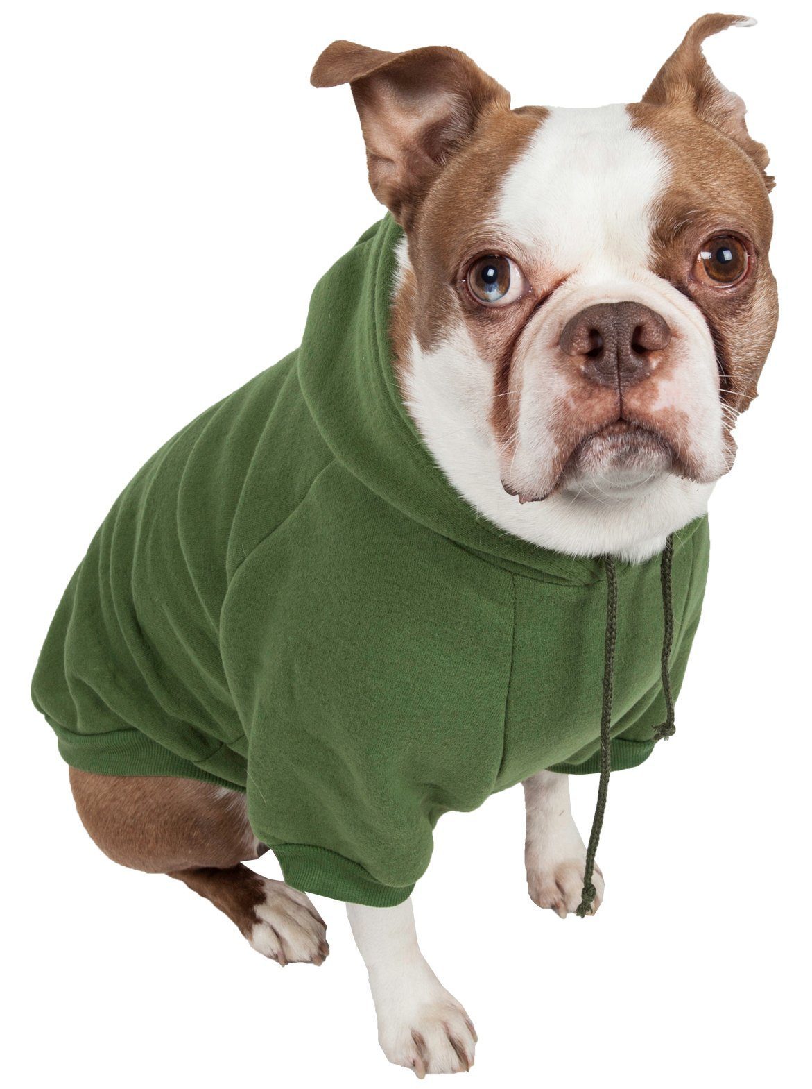 Pet Life ® 'American Classic' Fashion Plush Cotton Hooded Dog Sweater X-Small Green