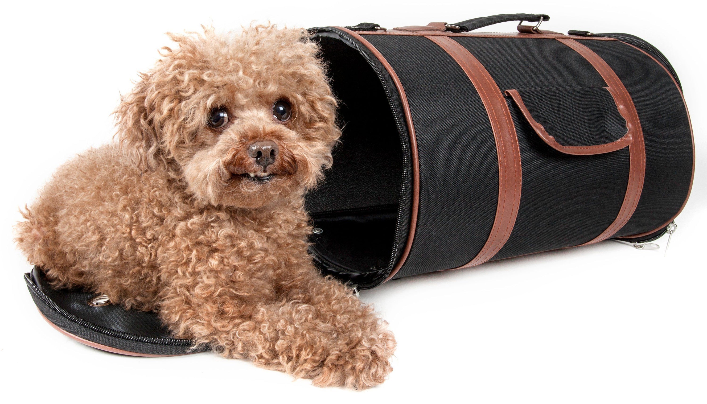 Pet Life ® 'Bark Avenue' Cylindrical Airline Approved Fashion Designer Posh Pet Dog Carrier Default Title