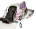 Pet Life ®  'Botanic Bark' Floral UV Protectant Adjustable Fashion Canopy Brimmed Dog Hat Cap Medium
