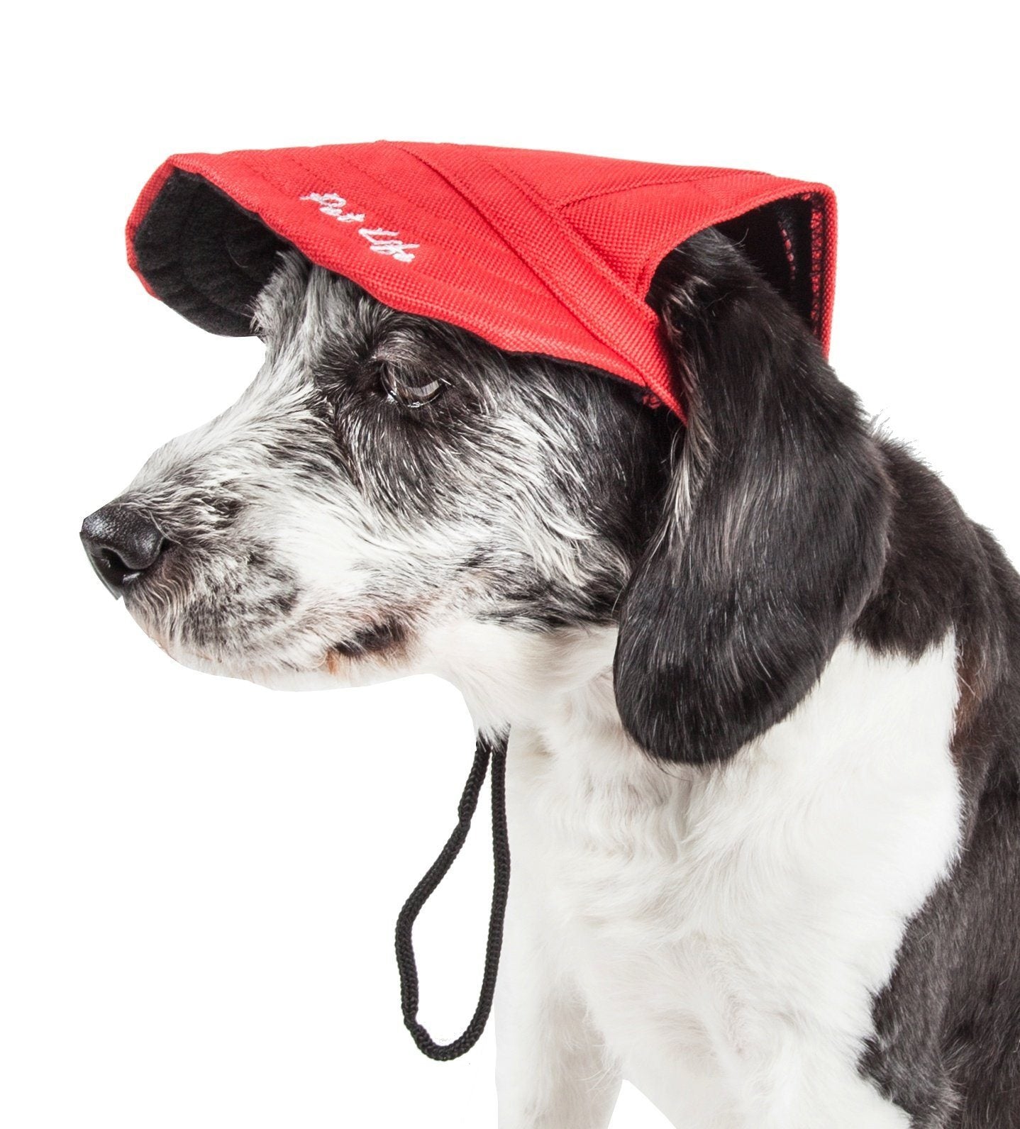 Pet Life ®  'Cap-Tivating' UV Protectant Adjustable Fashion Dog Hat Cap Medium Red