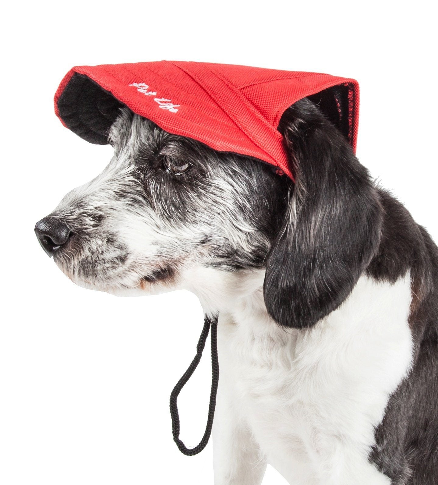 Pet Life ® 'Cap-Tivating' UV Protectant Adjustable Fashion Dog Hat Cap Medium Red
