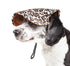 Pet Life ®  'Cheetah Bonita' Cheetah Patterned Uv Protectant Adjustable Fashion Dog Hat Cap Medium