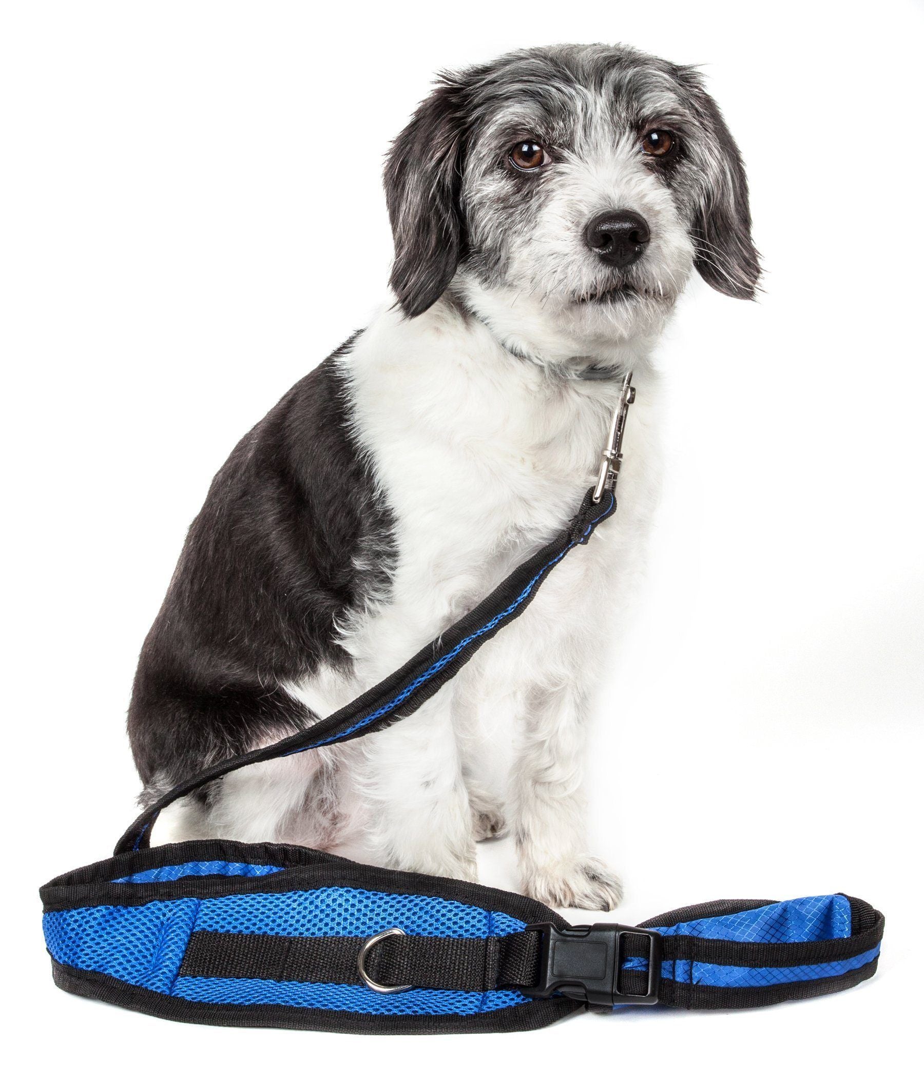 Pet Life ® 'Echelon' Hands Free and Convertible 2-In-1 Training Pet Dog Leash and Pet Belt Trainer Blue