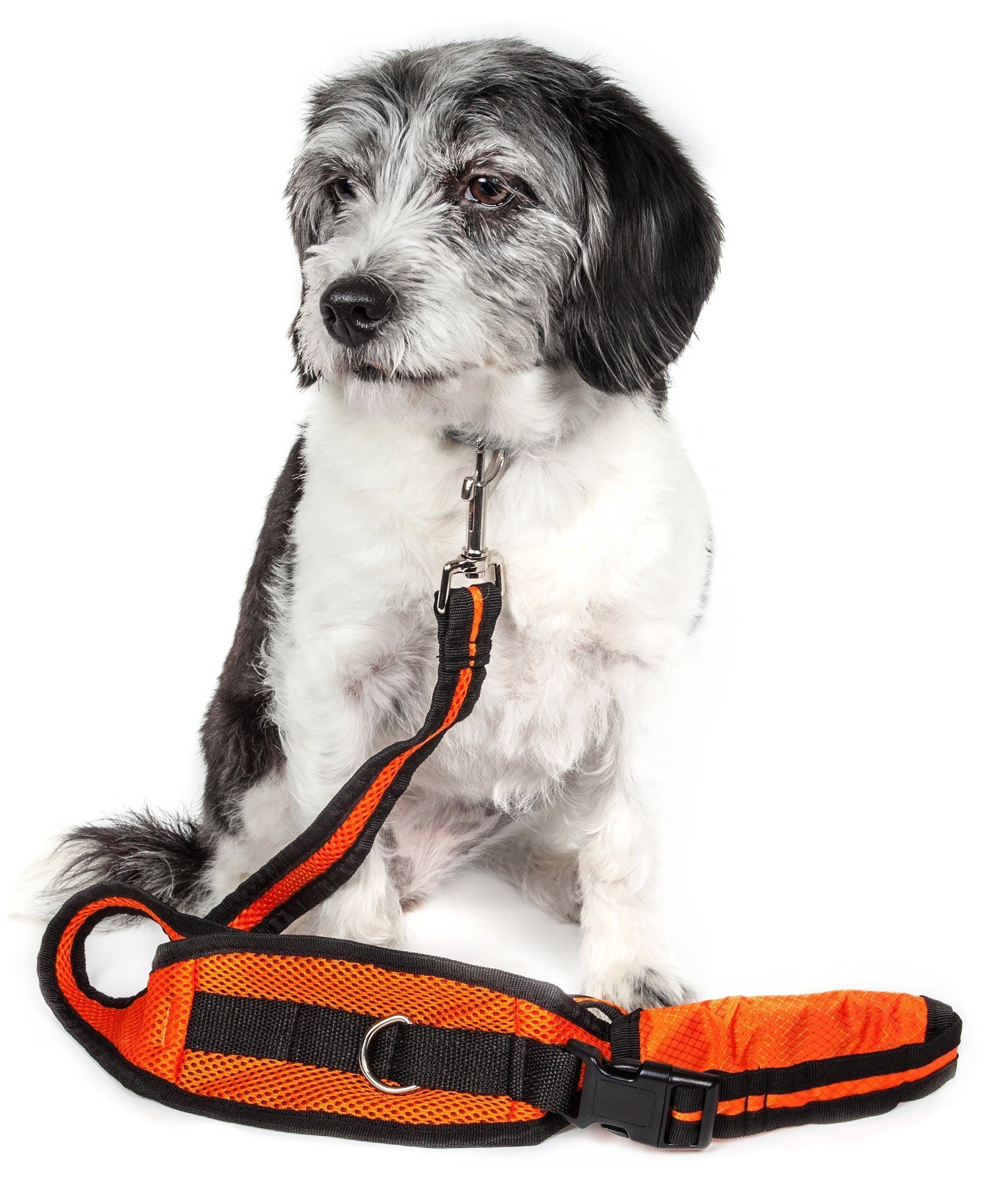Pet Life ® 'Echelon' Hands Free and Convertible 2-In-1 Training Pet Dog Leash and Pet Belt Trainer Orange 