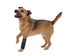 Pet Life ® 'Extreme-Neoprene' Joint Protective Safety Recovery and Reflective Pet Dog Sleeves - Set of 4