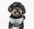 Pet Life ®  'Fidomite' Mesh Reversed  and Adjustable Fashion Dog Harness W/ Designer Bowtie