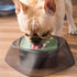 Pet Life ® 'Hydritate' Anti-Puddle Cat and Dog Drinking Water Bowl