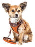 Pet Life ® Luxe 'Pawsh' 2-In-1 Adjustable Fashion Dog Harness and Leash X-Small