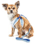 Pet Life ® Luxe 'Spawling' 2-In-1 Adjustable Fashion Dog Harness and Leash