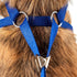 Pet Life ® Luxe 'Spawling' 2-In-1 Adjustable Fashion Dog Harness and Leash