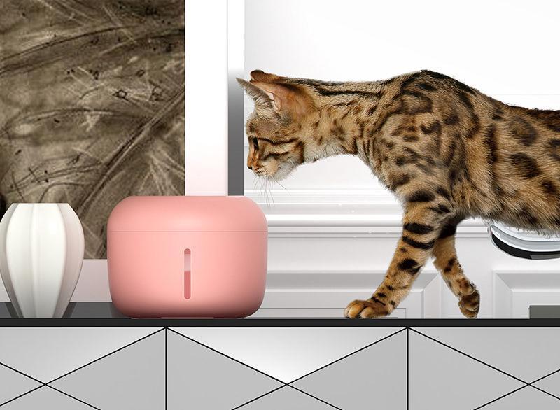 Modern cat water fountain cheap