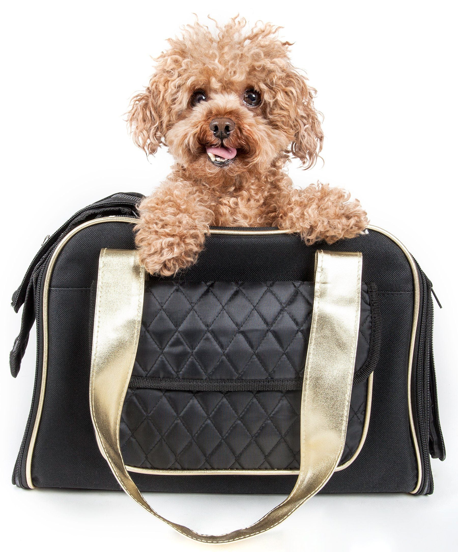 Pet Life ® Mystique Airline Approved Fashion Designer Travel Pet Dog Carrier w/ Pouch Black
