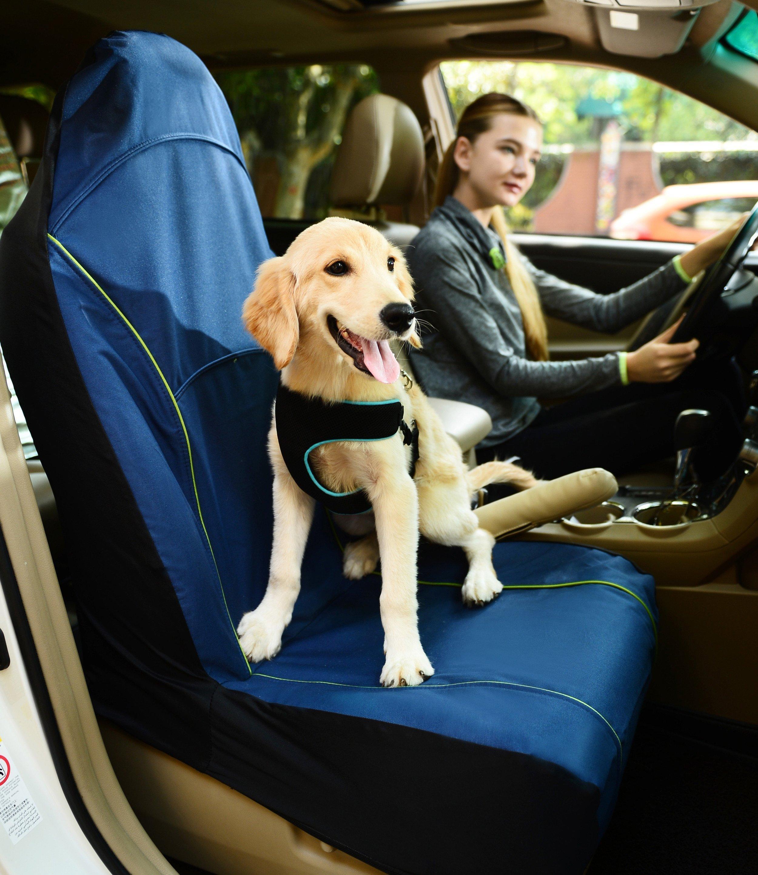 Pet Life ® 'Open Road' Single Seated Safety Child Pet Cat Dog Car Seat Carseat Cover Protector Blue 