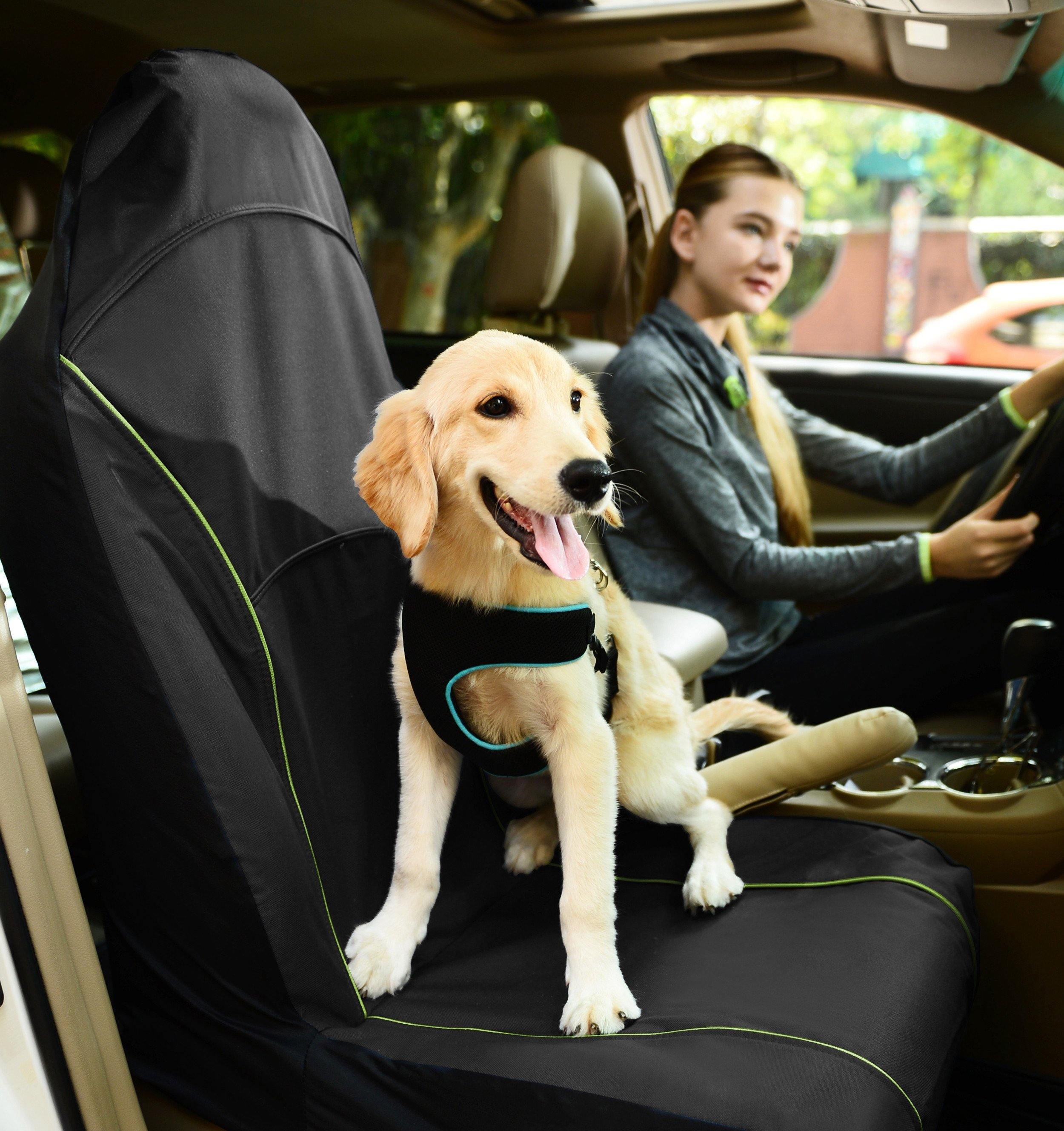 Pet Life ® 'Open Road' Single Seated Safety Child Pet Cat Dog Car Seat Carseat Cover Protector Black 