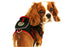 Pet Life ® 'Pocket Bark' Reflective Adjustable Fashion Pet Dog Harness w/ Hook-and-Loop Pouch and Dual Harness Rings