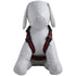 Pet Life ® 'Pocket Bark' Reflective Adjustable Fashion Pet Dog Harness w/ Hook-and-Loop Pouch and Dual Harness Rings