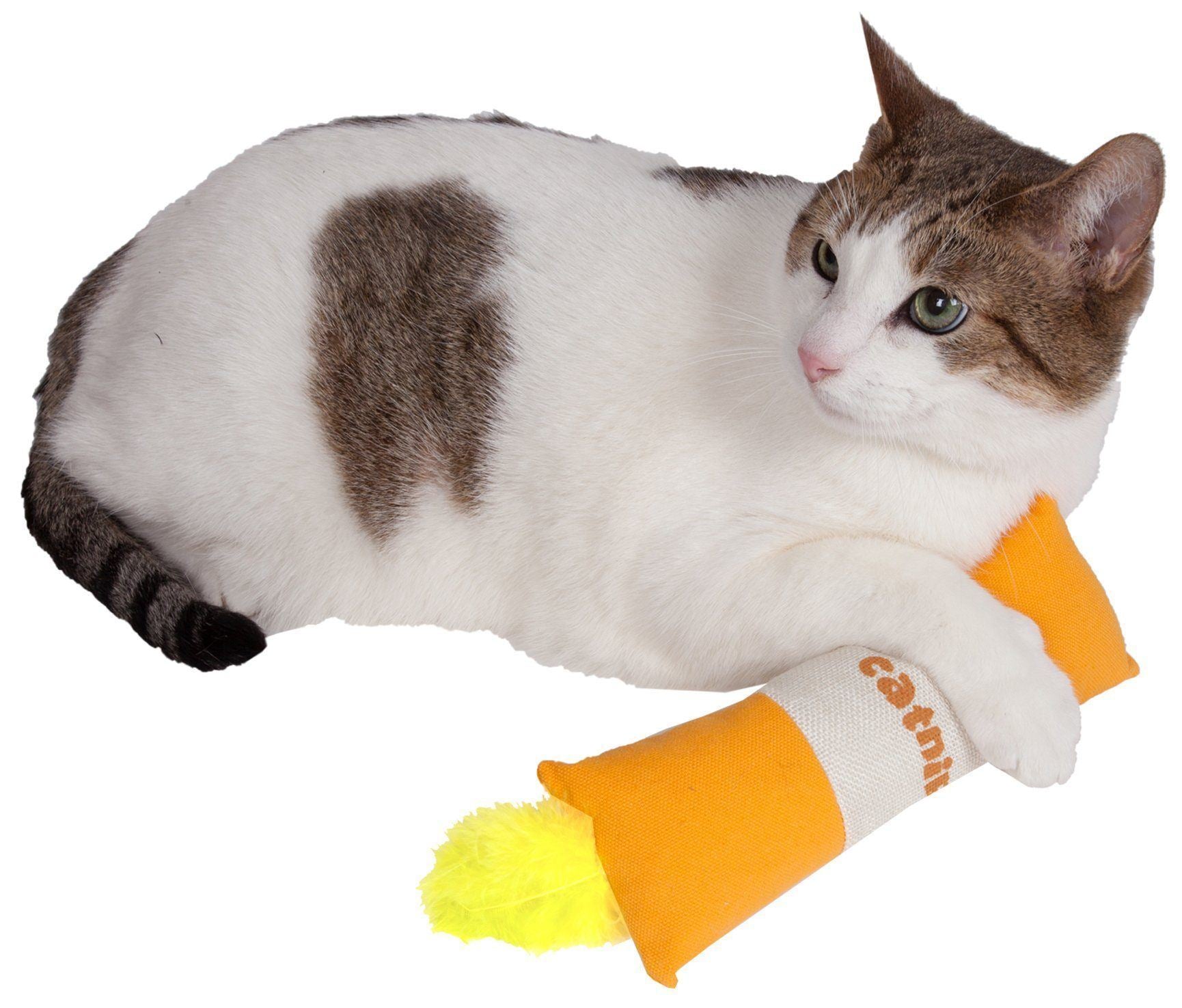 Pet Life ® 'Duffle Feathered' Squeak and Crinkle Teaser Plush Cat Toy