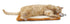 Pet Life ® 'Scrape-Away' Sisal and Jute Hanging Carpet Cat Scratcher Toy