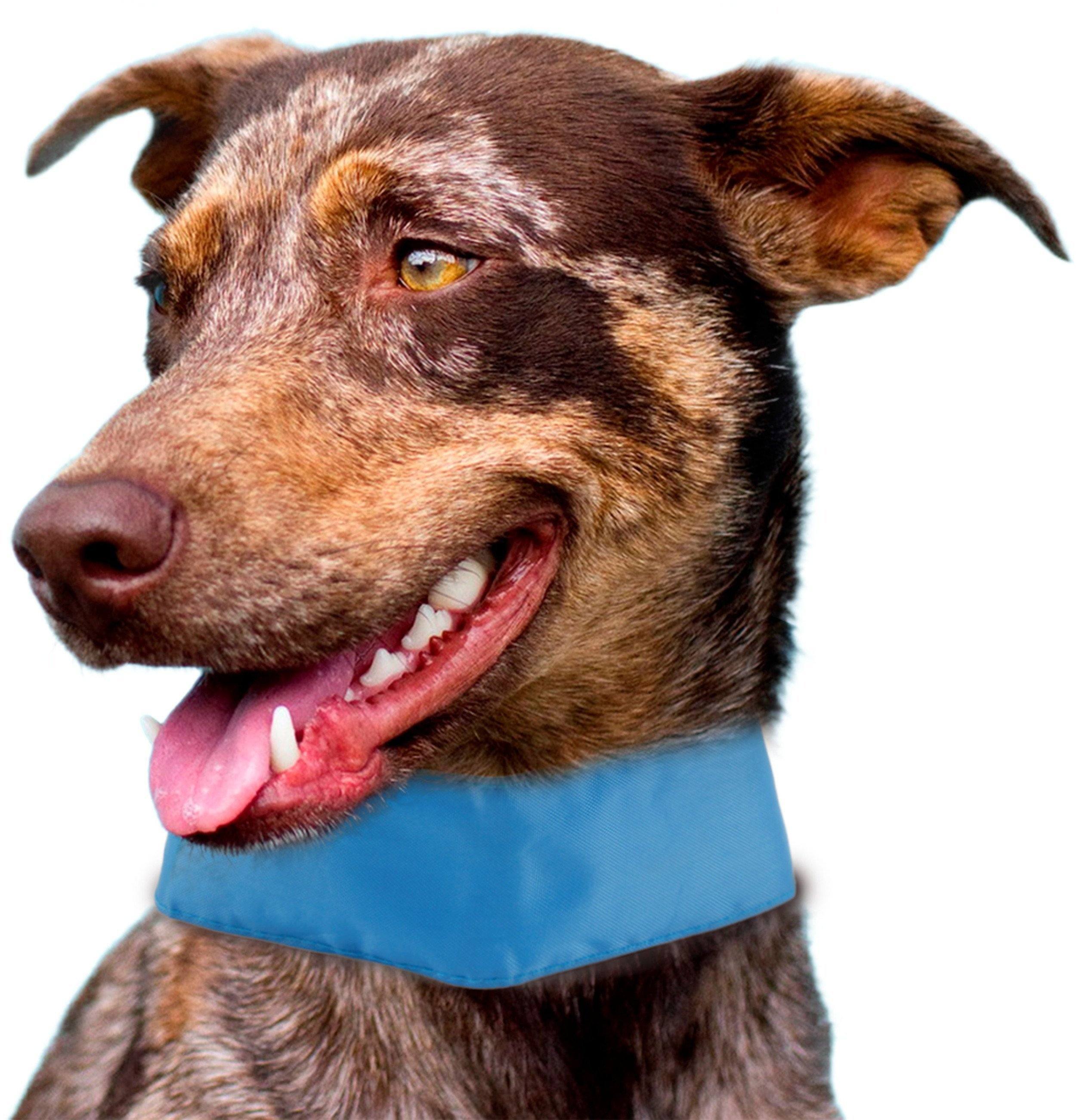 Pet Life ® 'Summer-Cooling' Ice Insertable and Adjustable Cooling Dog Neck Wrap Default Title 