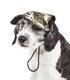 Pet Life ®  'Torrential Downfour' Camouflage UV Protectant Adjustable Fashion Dog Hat Cap Medium