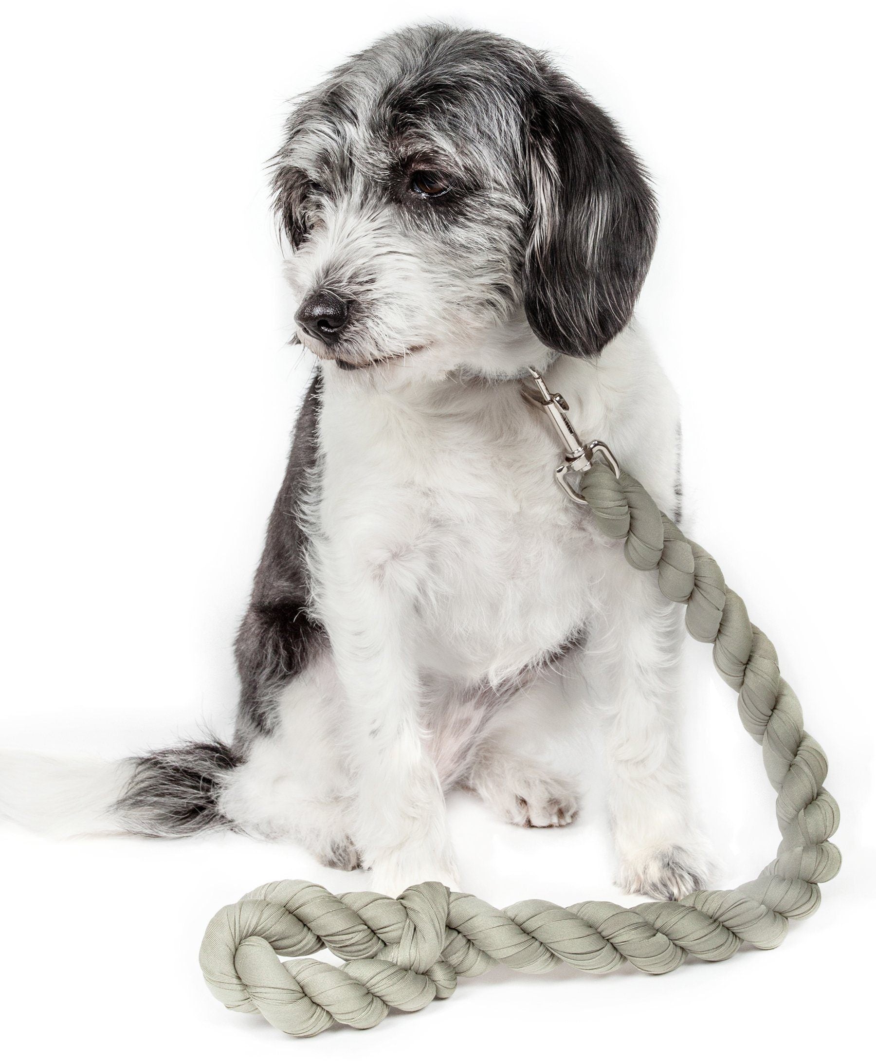 Pet Life ® 'Tough-Tugger' Industrial-Strength Shock Absorption Woven Pet Dog Leash Olive