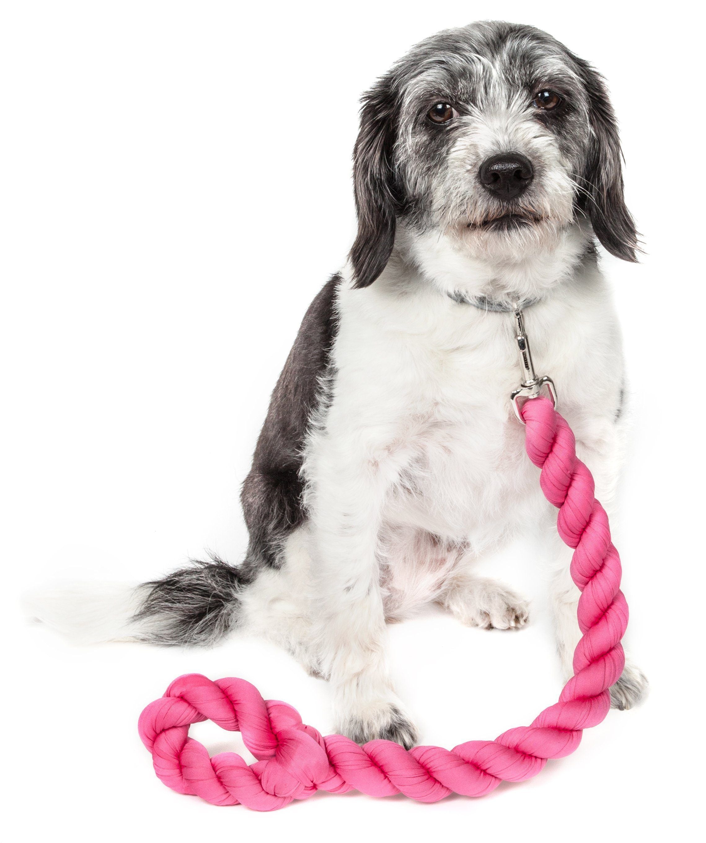 Pet Life ® 'Tough-Tugger' Industrial-Strength Shock Absorption Woven Pet Dog Leash Pink