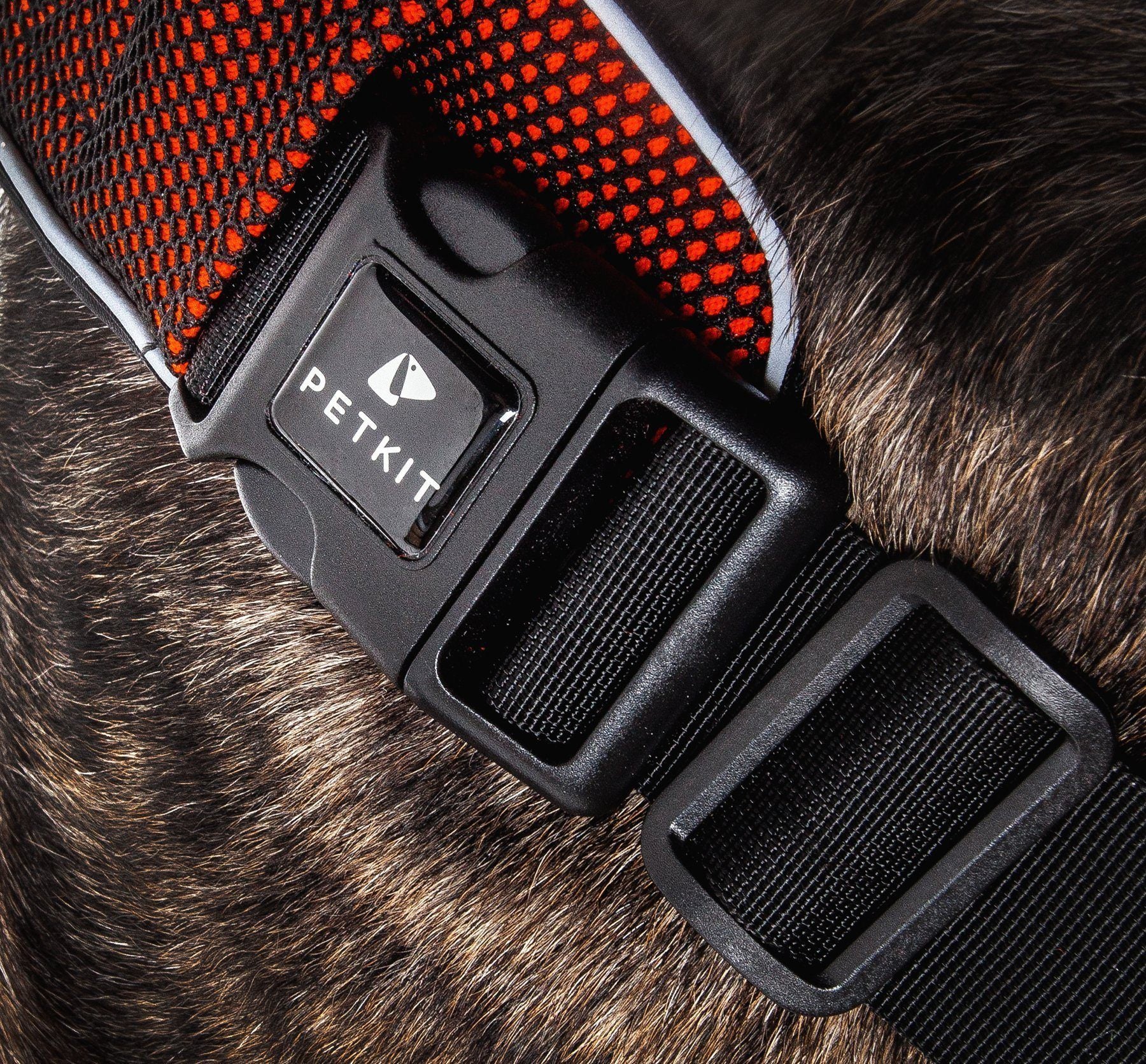 PETKIT ® 'AIR' Quad-Connecting Cushioned Chest Compression and Reflective Breathable Premium Safety Mesh Pet Dog Harness