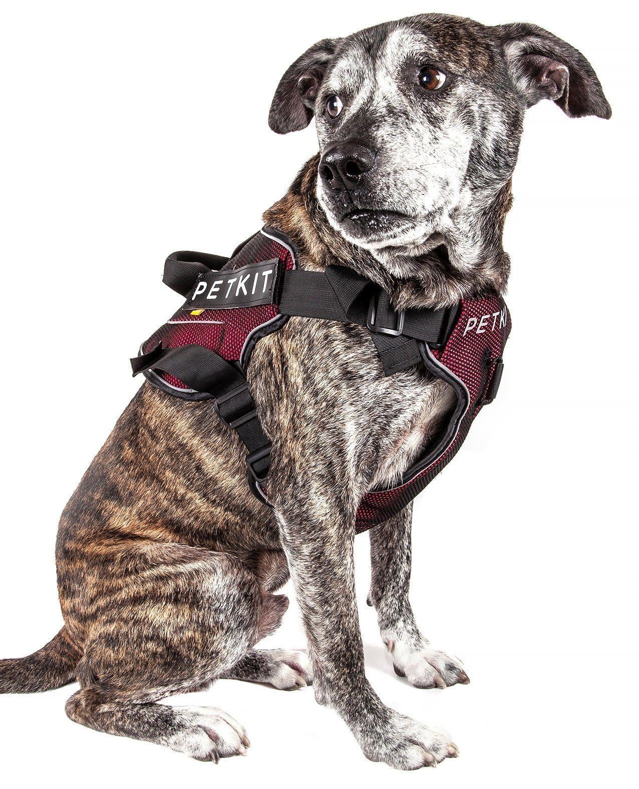 PETKIT ® 'AIR' Quad-Connecting Cushioned Chest Compression and Reflective Breathable Premium Safety Mesh Pet Dog Harness