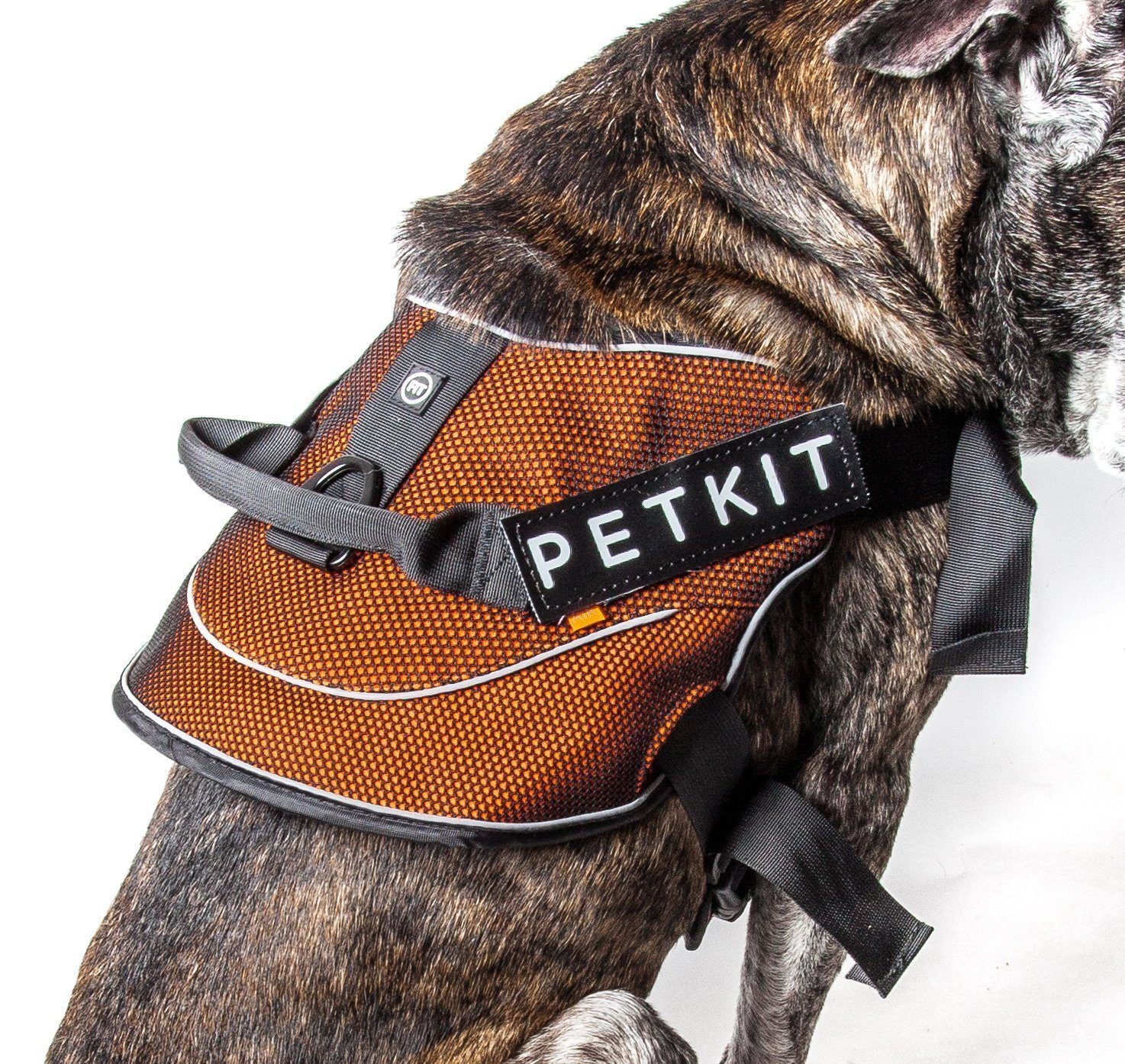 PETKIT ® 'AIR' Quad-Connecting Cushioned Chest Compression and Reflective Breathable Premium Safety Mesh Pet Dog Harness