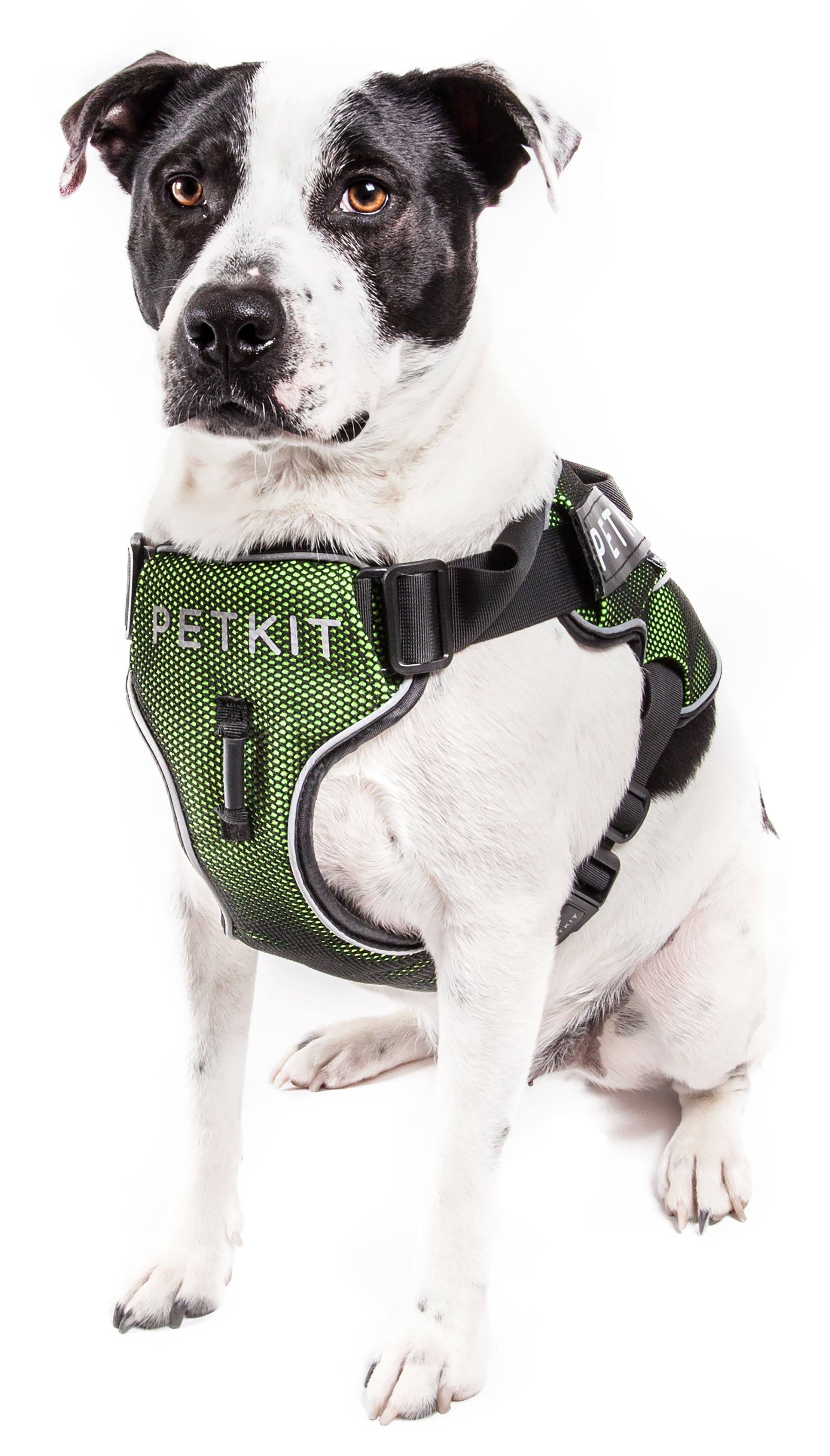 PETKIT ® 'AIR' Quad-Connecting Cushioned Chest Compression and Reflective Breathable Premium Safety Mesh Pet Dog Harness