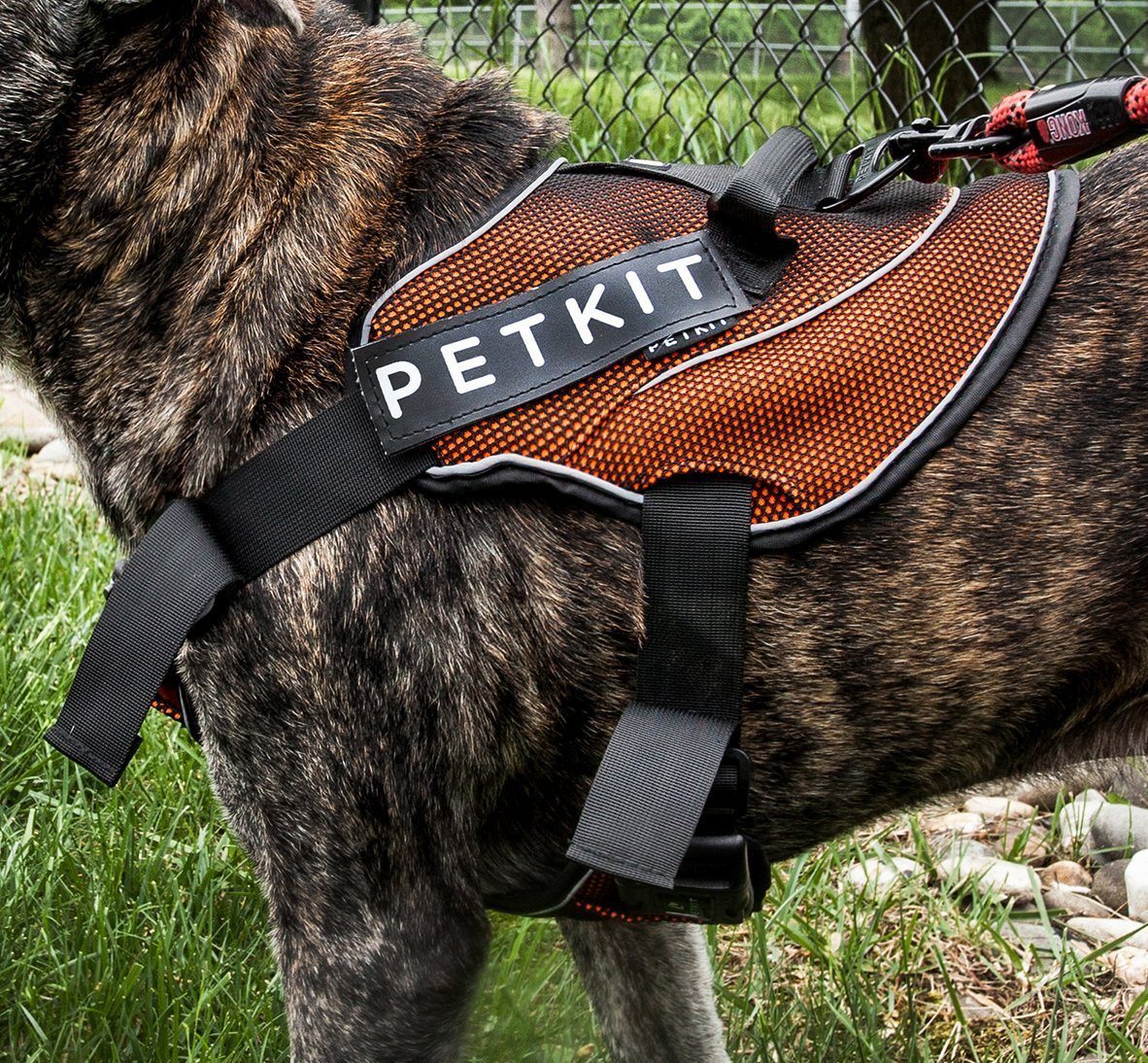 PETKIT ® 'AIR' Quad-Connecting Cushioned Chest Compression and Reflective Breathable Premium Safety Mesh Pet Dog Harness